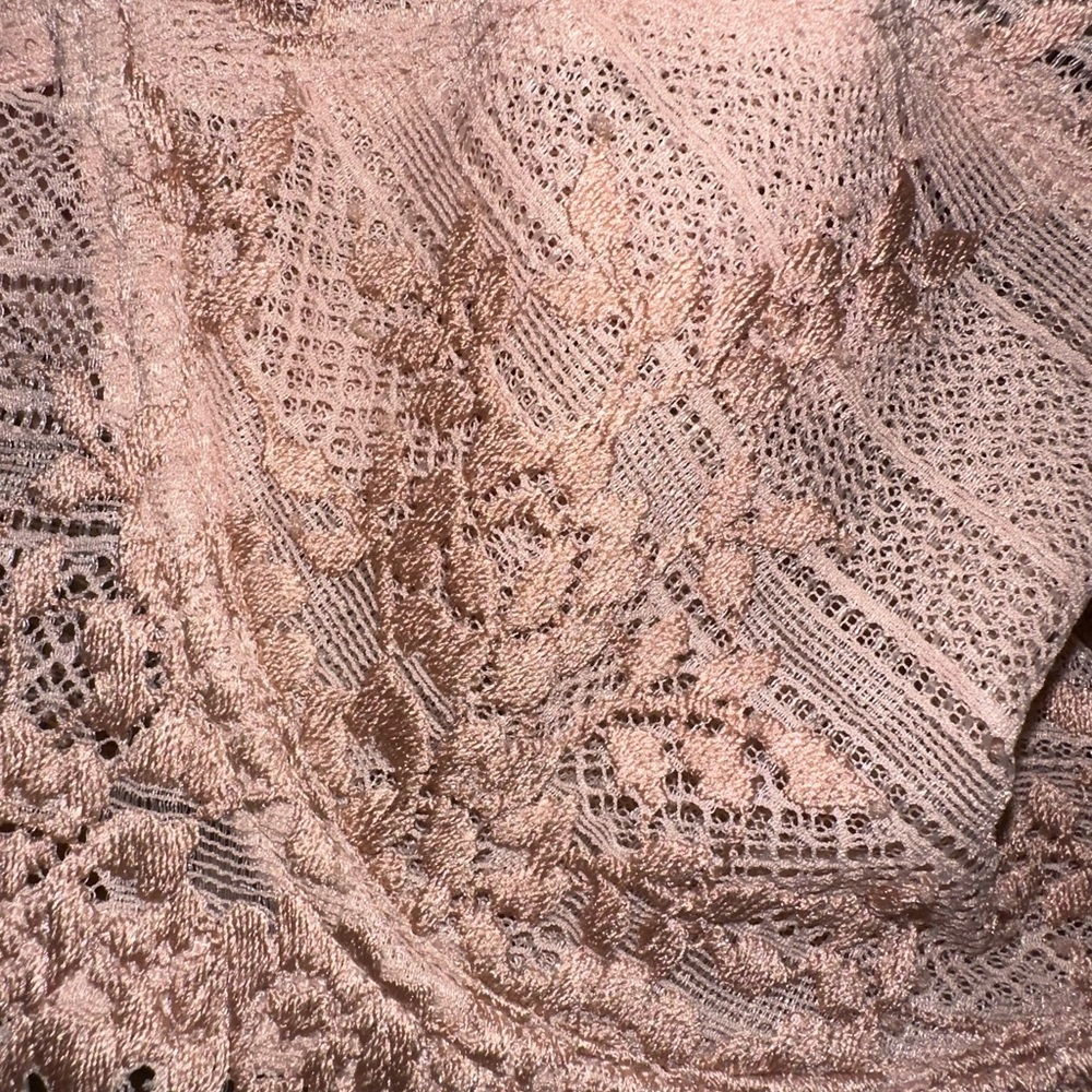 WACOAL Lace Embrace Underwire Bra in Light Pink EUC 34C - Picture 7 of 16